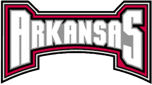 Arkansas Razorbacks 2001-2008 Wordmark Logo v6 diy DTF decal sticker